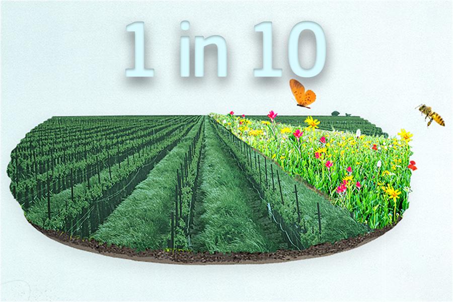 Painting of land divided into green sections, one section blooming with flowers and visited by pollinators.