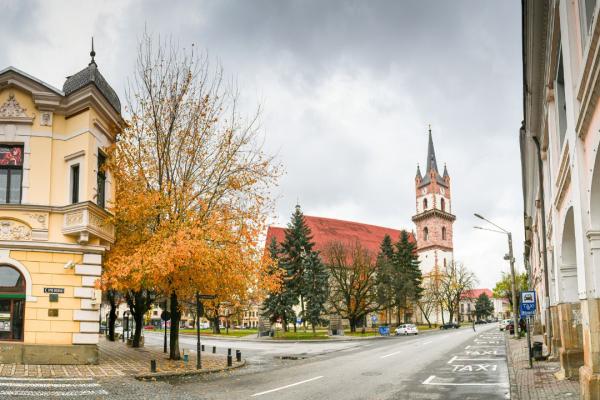 View of Bistrita