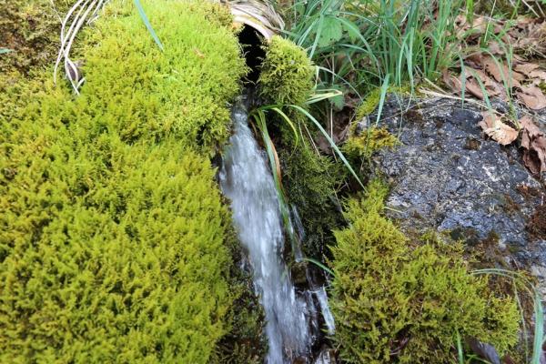 MicroDrink helps remove microplastics from drinking water