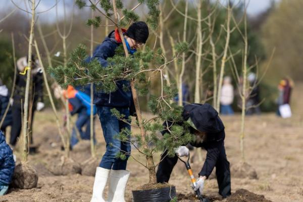 vilnius citizens planting trees